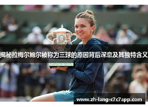 揭秘拉梅尔鲍尔被称为三球的原因背后深意及其独特含义 揭秘拉梅尔鲍尔被称为三球的原因背后深意及其独特含义