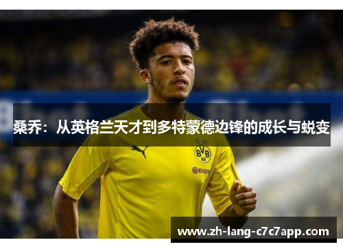 桑乔:从英格兰天才到多特蒙德边锋的成长与蜕变 桑乔:从英格兰天才到多特蒙德边锋的成长与蜕变