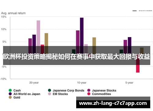 欧洲杯投资策略揭秘如何在赛事中获取最大回报与收益