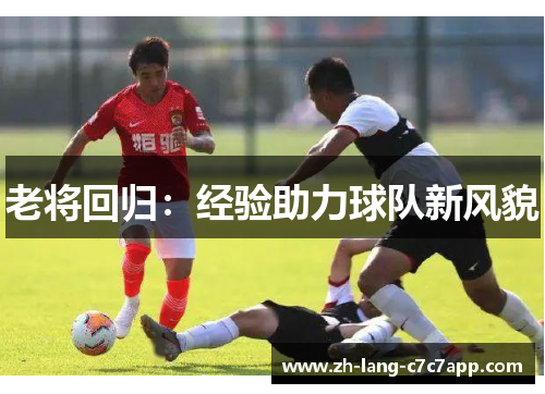 老将回归：经验助力球队新风貌